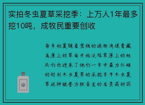 实拍冬虫夏草采挖季：上万人1年最多挖10吨，成牧民重要创收