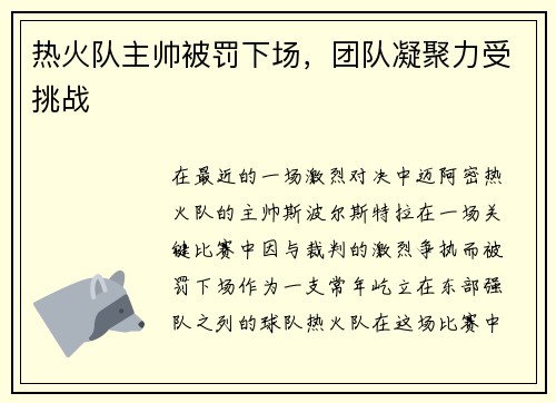 热火队主帅被罚下场，团队凝聚力受挑战